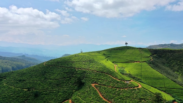 Nuwara Eliya, Hill Country, Sri Lanka — V68 Adventures private transport