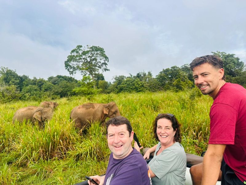 V68 Adventures guests on a wildlife safari watching elephants in Sri Lanka